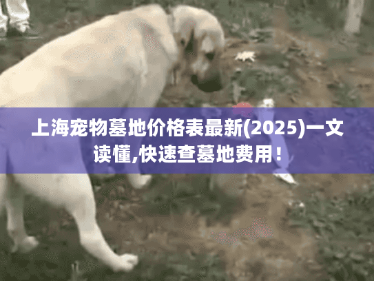 上海宠物墓地价格表最新(2025)一文读懂,快速查墓地费用！