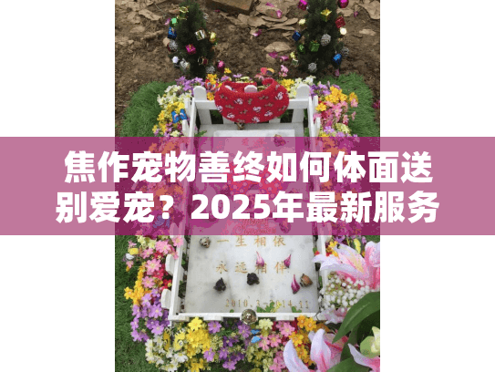 焦作宠物善终如何体面送别爱宠？2025年最新服务指南