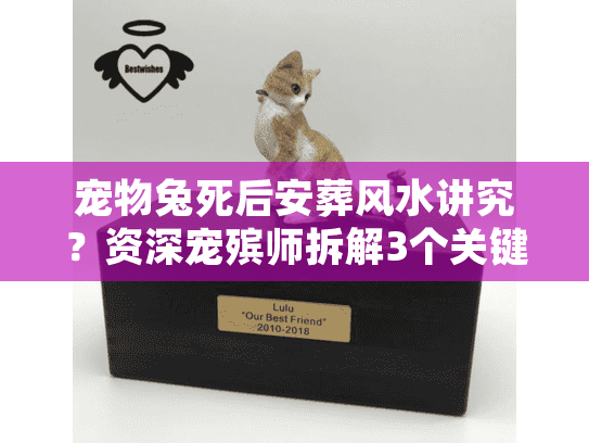 宠物兔死后安葬风水讲究？资深宠殡师拆解3个关键坑+1个必做仪式