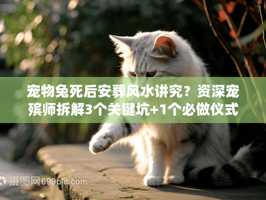 宠物兔死后安葬风水讲究？资深宠殡师拆解3个关键坑+1个必做仪式