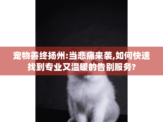 宠物善终扬州:当悲痛来袭,如何快速找到专业又温暖的告别服务?