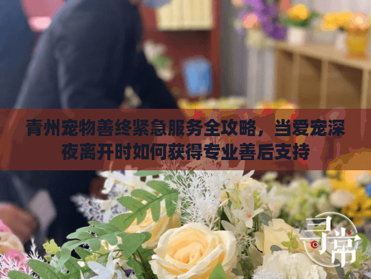 青州宠物善终紧急服务全攻略，当爱宠深夜离开时如何获得专业善后支持
