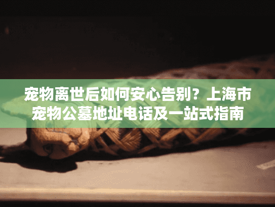 宠物离世后如何安心告别？上海市宠物公墓地址电话及一站式指南