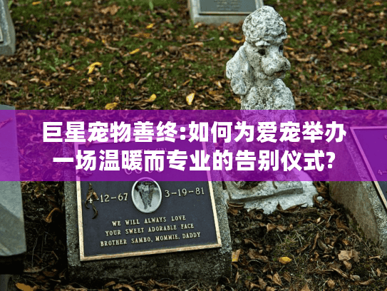 巨星宠物善终:如何为爱宠举办一场温暖而专业的告别仪式?