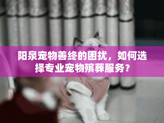 阳泉宠物善终的困扰，如何选择专业宠物殡葬服务？