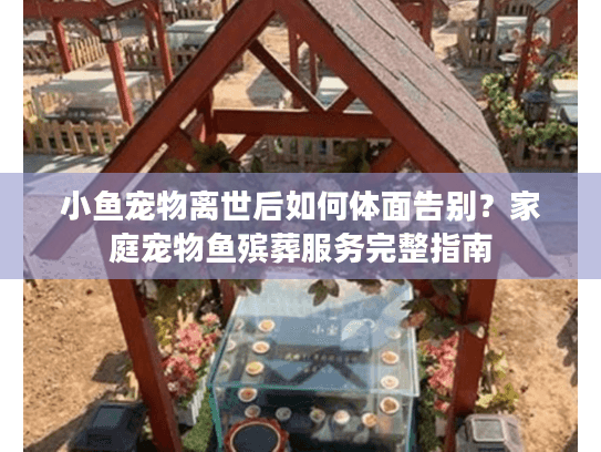 小鱼宠物离世后如何体面告别？家庭宠物鱼殡葬服务完整指南