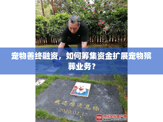 宠物善终融资，如何筹集资金扩展宠物殡葬业务？