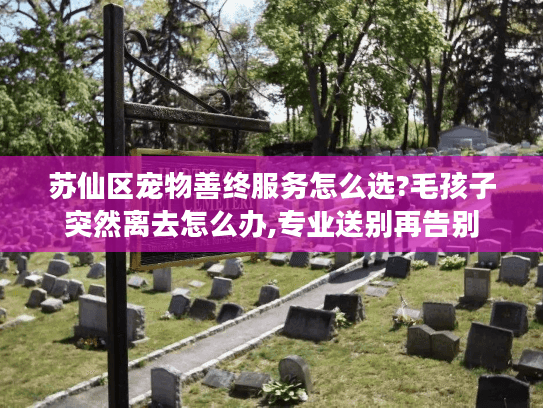 苏仙区宠物善终服务怎么选?毛孩子突然离去怎么办,专业送别再告别