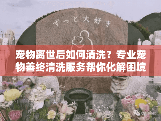宠物离世后如何清洗？专业宠物善终清洗服务帮你化解困境