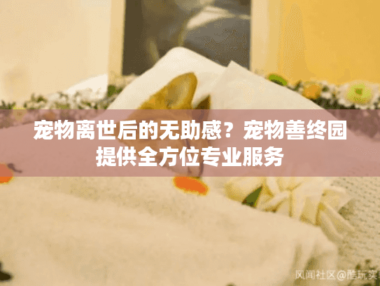宠物离世后的无助感？宠物善终园提供全方位专业服务