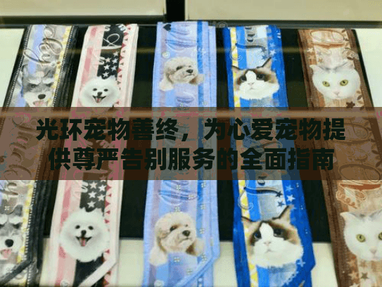 光环宠物善终，为心爱宠物提供尊严告别服务的全面指南