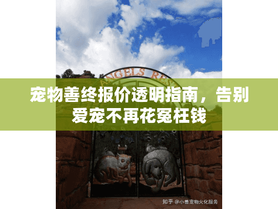 宠物善终报价透明指南，告别爱宠不再花冤枉钱