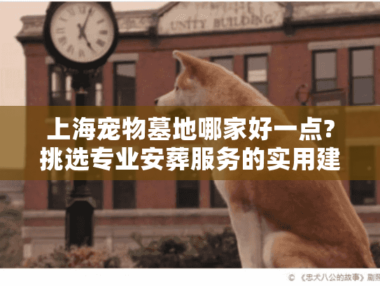 上海宠物墓地哪家好一点?挑选专业安葬服务的实用建议
