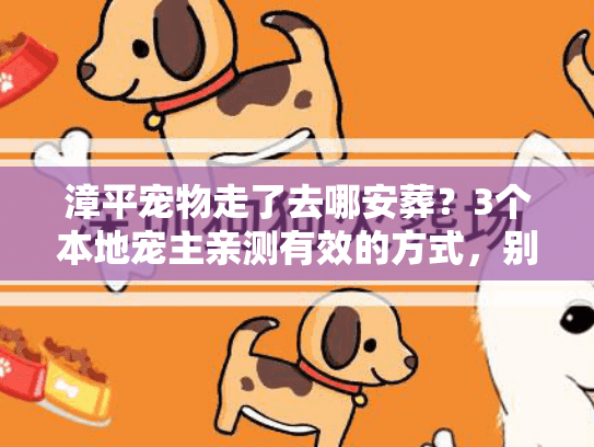 漳平宠物走了去哪安葬？3个本地宠主亲测有效的方式，别等急用时乱撞