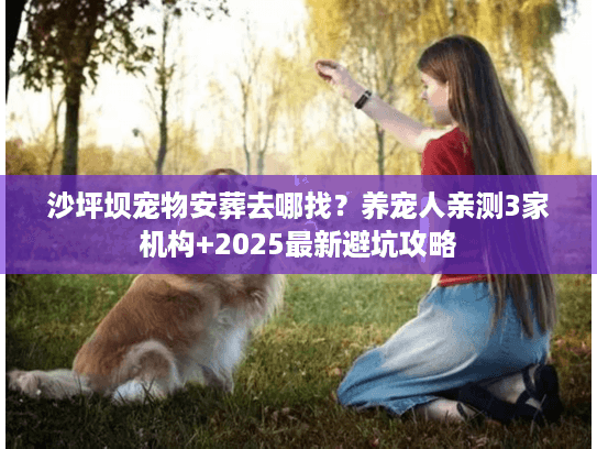 沙坪坝宠物安葬去哪找？养宠人亲测3家机构+2025最新避坑攻略