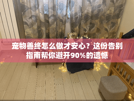 宠物善终怎么做才安心？这份告别指南帮你避开90%的遗憾