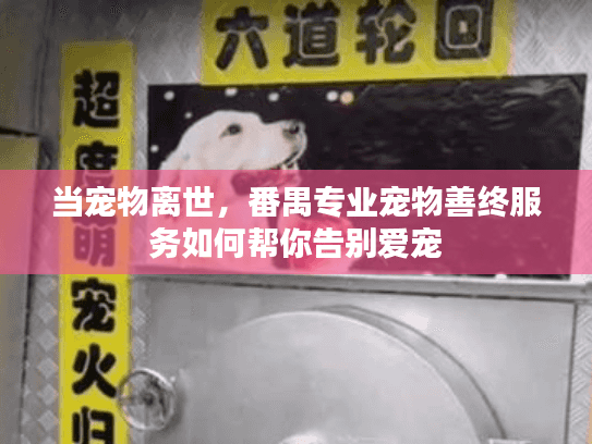 当宠物离世，番禺专业宠物善终服务如何帮你告别爱宠