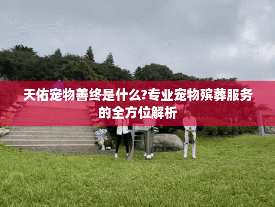 天佑宠物善终是什么?专业宠物殡葬服务的全方位解析