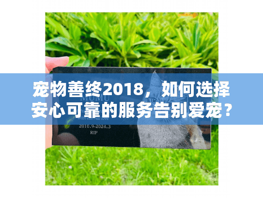 宠物善终2018，如何选择安心可靠的服务告别爱宠？