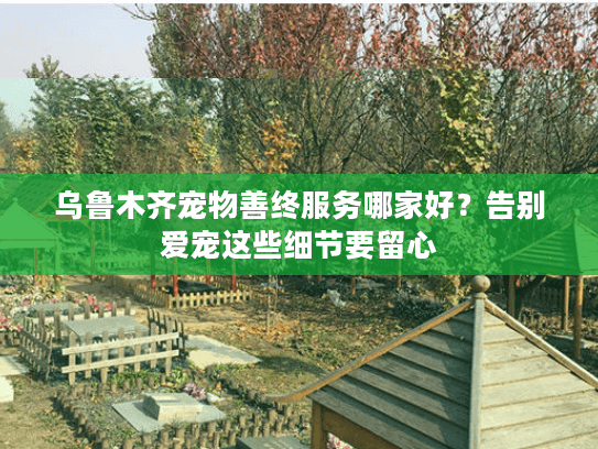 乌鲁木齐宠物善终服务哪家好？告别爱宠这些细节要留心