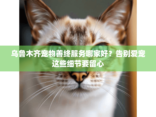 乌鲁木齐宠物善终服务哪家好？告别爱宠这些细节要留心