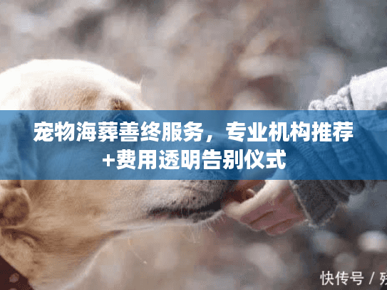 宠物海葬善终服务，专业机构推荐+费用透明告别仪式