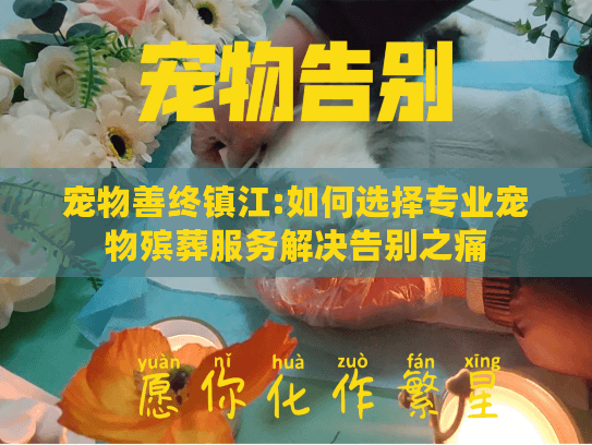 宠物善终镇江:如何选择专业宠物殡葬服务解决告别之痛
