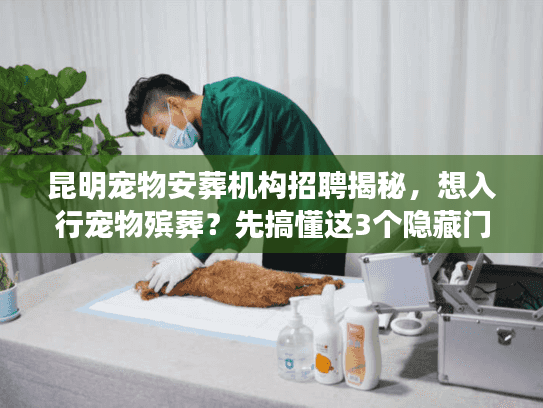 昆明宠物安葬机构招聘揭秘，想入行宠物殡葬？先搞懂这3个隐藏门槛