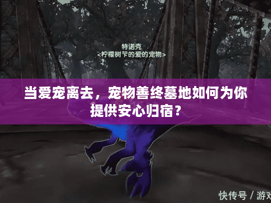当爱宠离去，宠物善终墓地如何为你提供安心归宿？