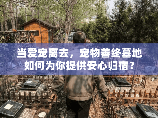 当爱宠离去，宠物善终墓地如何为你提供安心归宿？