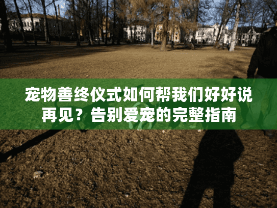 宠物善终仪式如何帮我们好好说再见？告别爱宠的完整指南