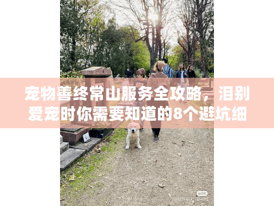 宠物善终常山服务全攻略，泪别爱宠时你需要知道的8个避坑细节