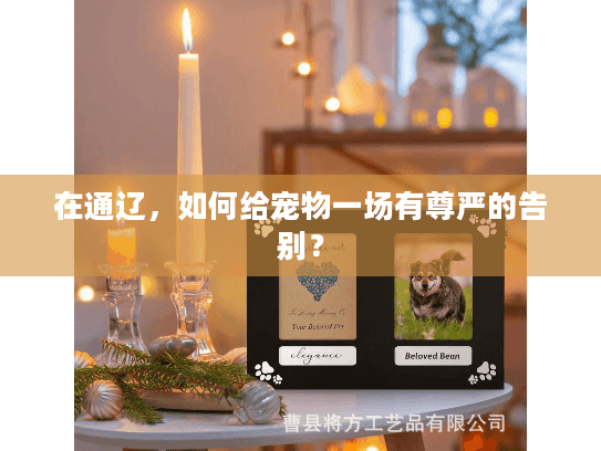 在通辽，如何给宠物一场有尊严的告别？
