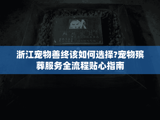 浙江宠物善终该如何选择?宠物殡葬服务全流程贴心指南