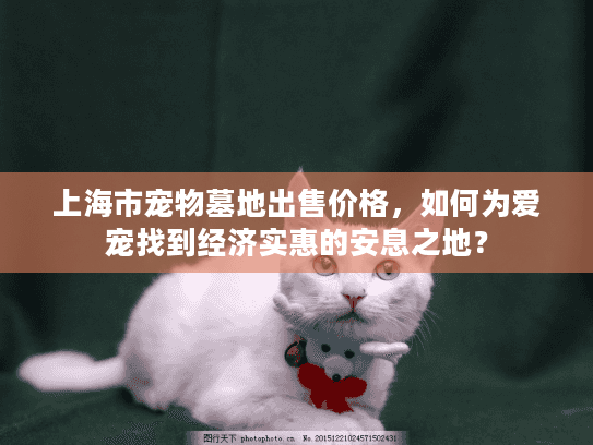 上海市宠物墓地出售价格，如何为爱宠找到经济实惠的安息之地？