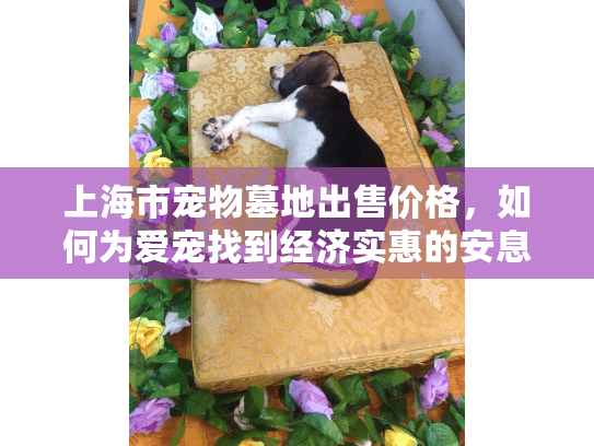 上海市宠物墓地出售价格，如何为爱宠找到经济实惠的安息之地？