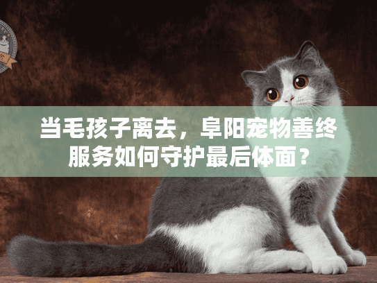 当毛孩子离去，阜阳宠物善终服务如何守护最后体面？