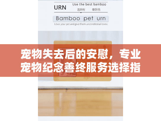 宠物失去后的安慰，专业宠物纪念善终服务选择指南