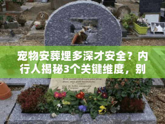宠物安葬埋多深才安全？内行人揭秘3个关键维度，别再用错方法