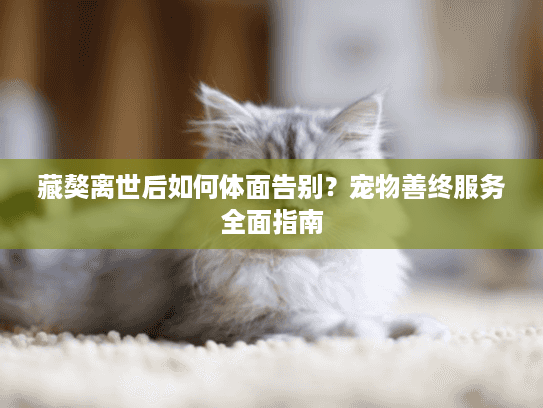 藏獒离世后如何体面告别？宠物善终服务全面指南