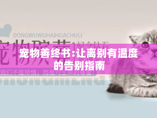 宠物善终书:让离别有温度的告别指南