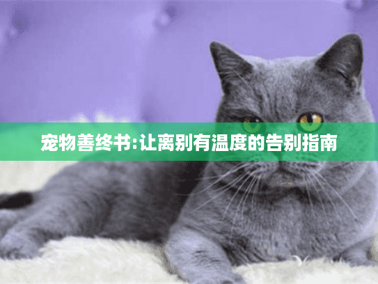 宠物善终书:让离别有温度的告别指南