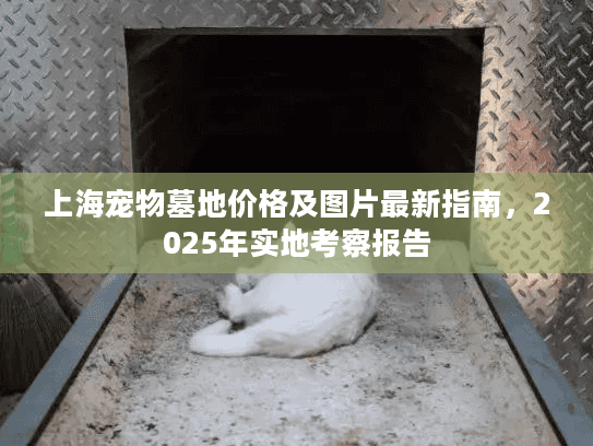 上海宠物墓地价格及图片最新指南，2025年实地考察报告