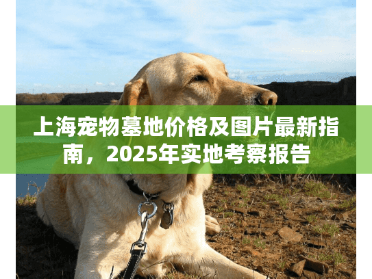 上海宠物墓地价格及图片最新指南，2025年实地考察报告