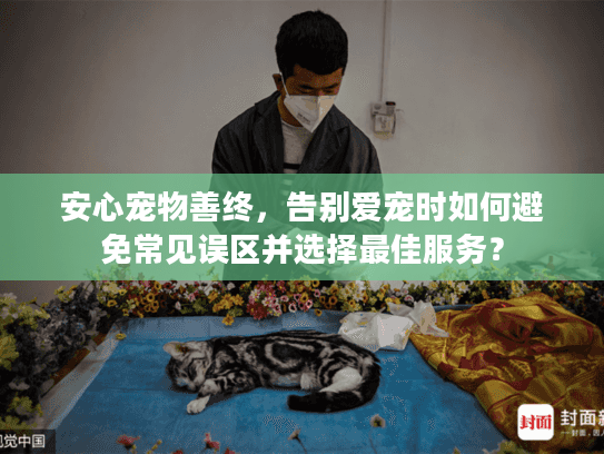 安心宠物善终，告别爱宠时如何避免常见误区并选择最佳服务？