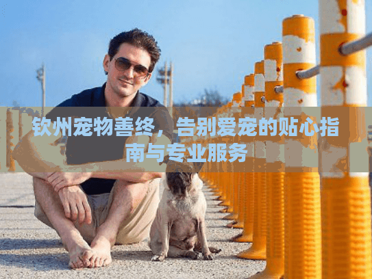 钦州宠物善终，告别爱宠的贴心指南与专业服务