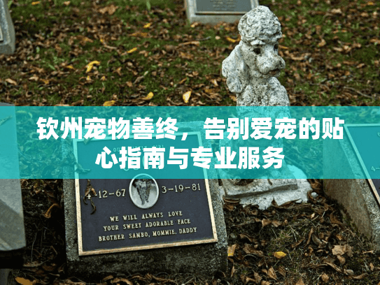 钦州宠物善终，告别爱宠的贴心指南与专业服务