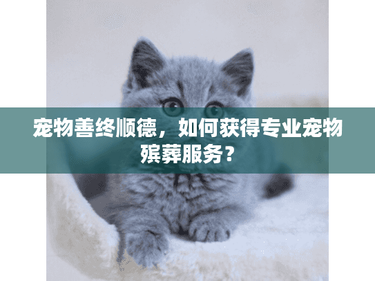 宠物善终顺德，如何获得专业宠物殡葬服务？