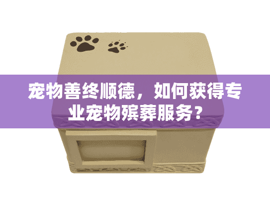 宠物善终顺德，如何获得专业宠物殡葬服务？