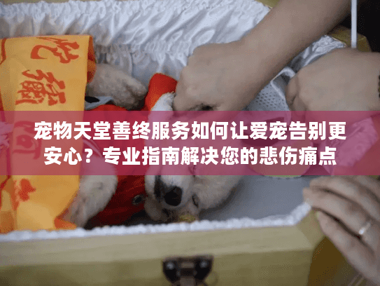 宠物天堂善终服务如何让爱宠告别更安心？专业指南解决您的悲伤痛点